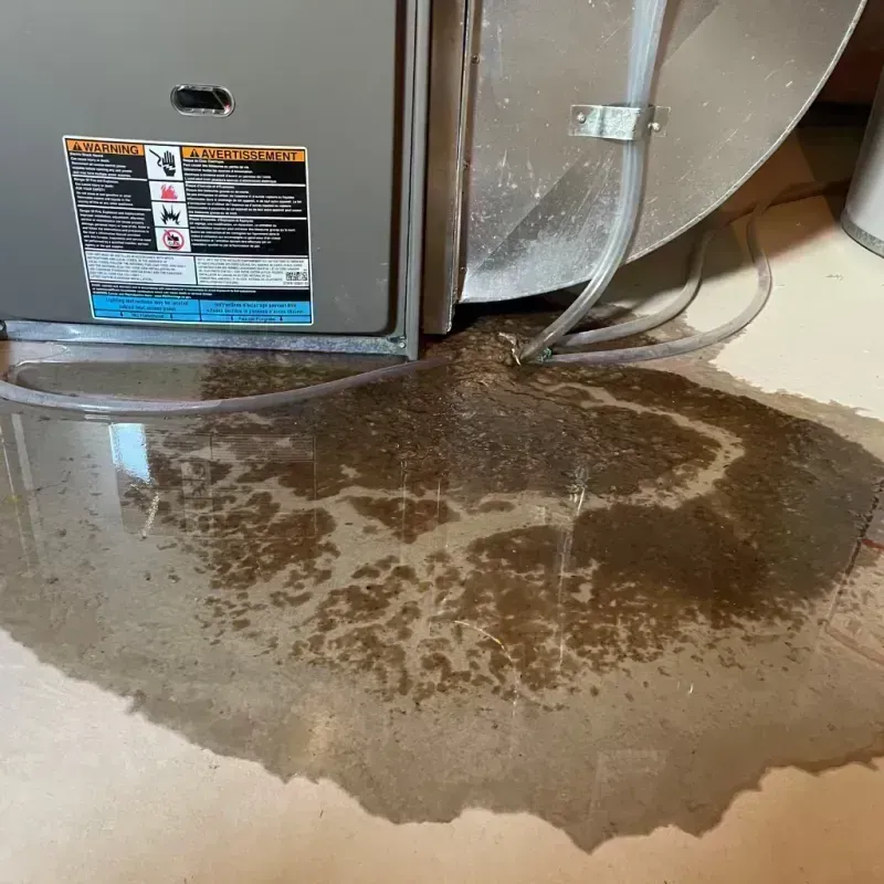 Appliance Leak Cleanup in Villa Park, IL